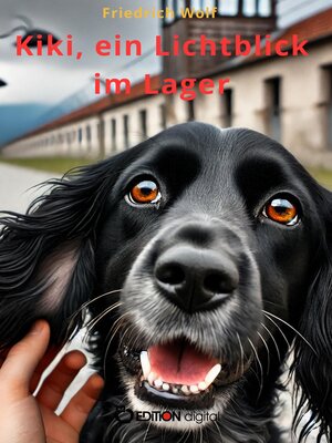 cover image of Kiki, ein Lichtblick im Lager